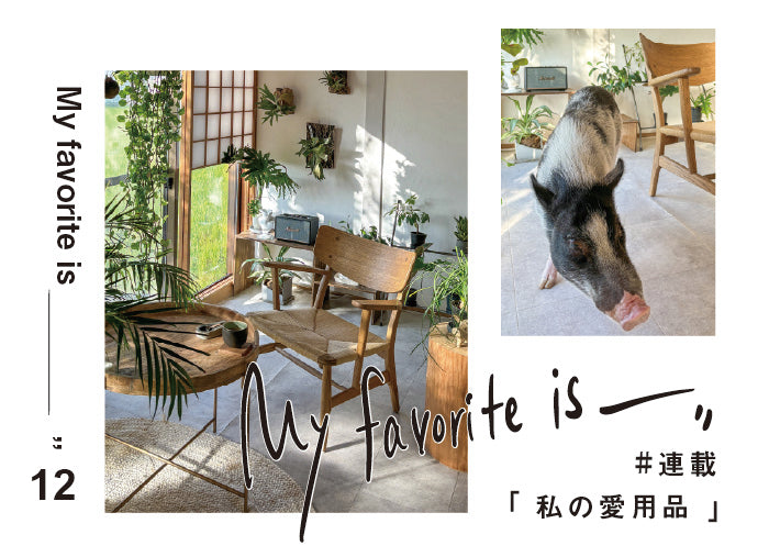 【連載｜私の愛用品 No.12】ヤオラチェア